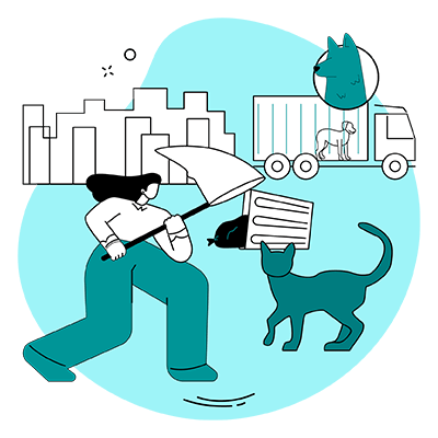 Illustrations-managing-cats